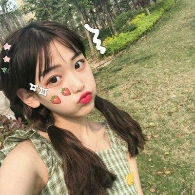 龙兄虎弟国语
